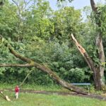 5c47abd7-7c72-4c81-a85a-a4dd1242a958