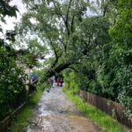 8931e3e7-3e03-482e-a9e5-f4b43df071e0