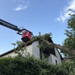 Baum auf Haus 08.06.2025
