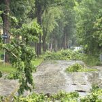 da5aa069-023e-4ab7-bdb9-0201c2aa5863