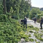 f854fa49-5d81-4339-864e-05fd929234b2