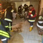 10dffc49-bb15-4d73-9500-bfaa5c48c039