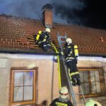 WhatsApp Image 2025-11-19 at 06.31.22 (3)