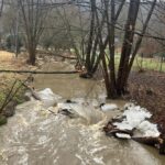 2302bf73-33df-4a6f-ab4c-f06f41636487