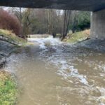 e8c0adc8-a99a-432a-a954-905563afa503